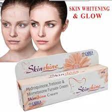 Skin_Shine_Face_Cream (INDIAN) 15gm Skin shine cream price in bangladesh
