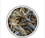 Puti Shutki Fish Regular Size Price in Bangladesh | পুঁটি শুঁটকি মাছ ২০২৫ 
