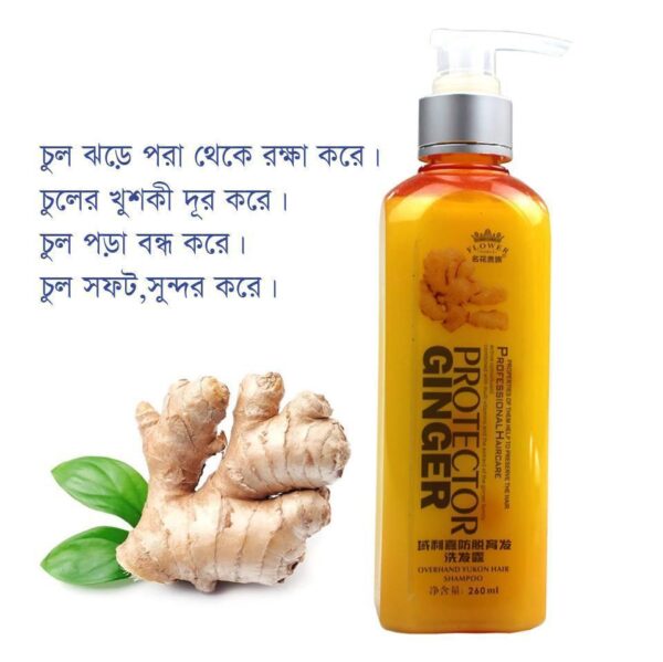 GINGER Hair Shampoo Anti Hair Loss Protector 260ml BD - Image 3