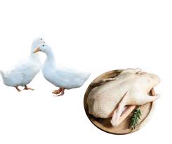 deshi-duck-meat-650-bd