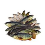 Haor Fish Mix ±30 gm 500 gm price