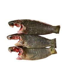 Koi Fish Processed ±50 gm 1 kg price