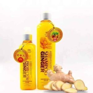 GINGER Hair Shampoo Anti Hair Loss Protector 260ml BD