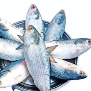 Hilsa Fish Price in Bangladesh 2025 | 400g to 1kg ± ইলিশ মাছের দাম