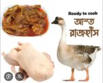 swan-raj-hash-3kg-price-bd