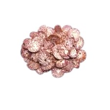 Betel Nut (Shupari) 250 gm price