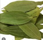  Bay Leaf (Tejpata) – তেজপাতা 100 গ্রাম বাংলাদেশ