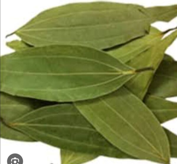 Bay Leaf (Tejpata) 100gm Price in Bangladesh | তেজপাতা দাম