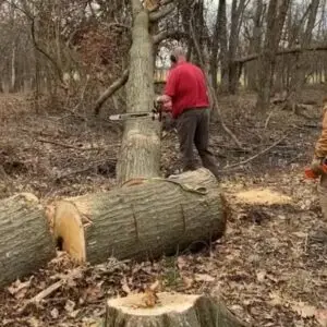 কাঠ কাটা সার্ভিস বাংলাদেশ শ্রমিক বুকিং