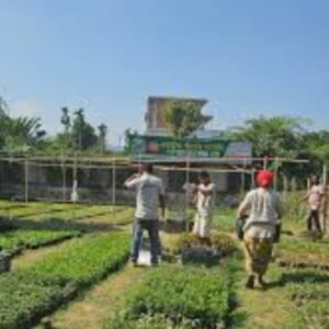 নার্সারি ও বাগানের শ্রমিক (Nursery & Garden Worker)