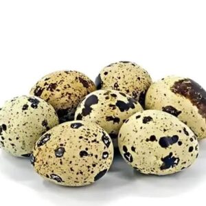 Quail Eggs 20pcs Price in Bangladesh | কোয়েল ডিম ২০ পিস দাম