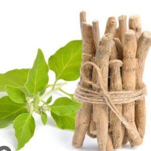 Ashwagandha Powder 250gm Price in Bangladesh | মহিলা শরীরের উপকারিতা ও দাম