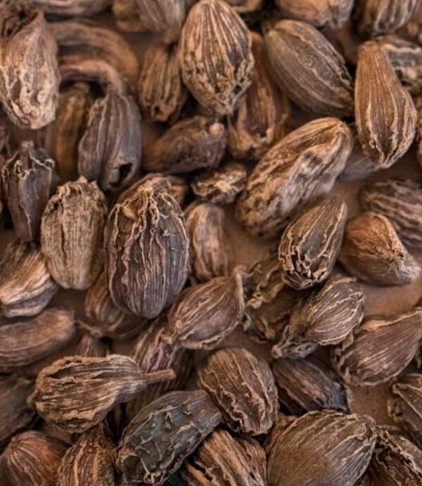 Black Cardamom (Kala Elach) 200g Price in Bangladesh | কালো এলাচ দাম