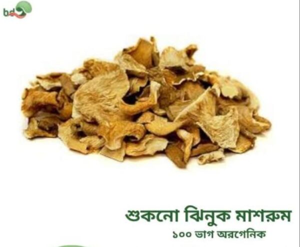 Dried Oyster Mushroom 1kg Price in Bangladesh | শুকনা ওয়েস্টার মাশরুম দাম ২০২৫