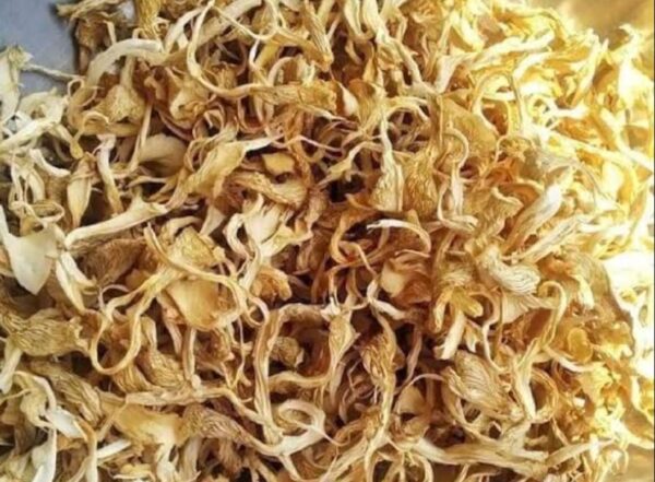 Dried Oyster Mushroom 1kg Price in Bangladesh | শুকনা ওয়েস্টার মাশরুম দাম ২০২৫