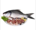 Katla Fish 1kg Price in Bangladesh | কাতল মাছ ১ কেজি দাম ২০২৫ 