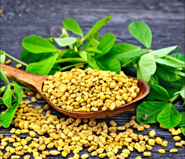 Methi 500g Price in Bangladesh | মেথি অর্ধ কেজি দাম