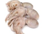 Octopus Price per Kg in Bangladesh | অক্টোপাস ৩/৪ পিস প্রতি কেজি দাম ২০২৫

