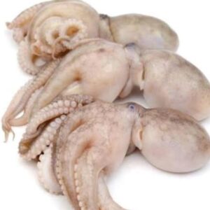 Octopus Price per Kg in Bangladesh | অক্টোপাস ৩/৪ পিস প্রতি কেজি দাম ২০২৫