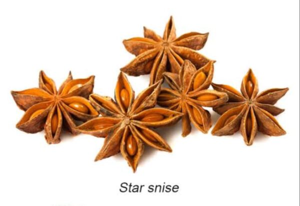 Star Anise 100g Price in Bangladesh | তারকা মৌরি দাম
