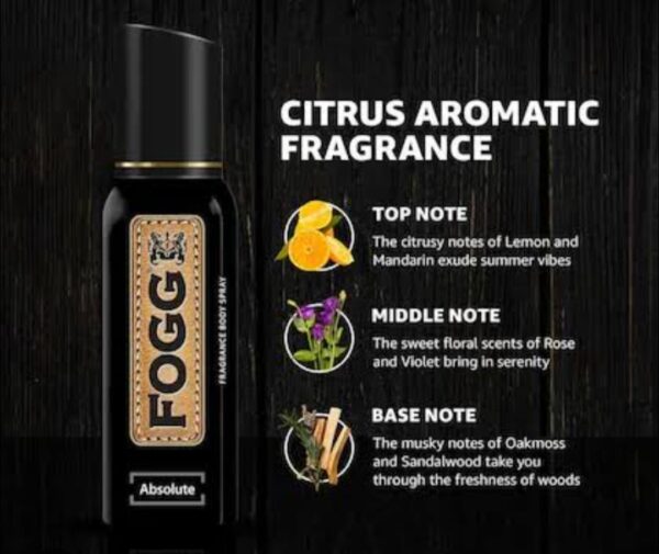 Fogg Body Spray Absolute 120ml Price in Bangladesh | ফগ অ্যাবসোলিউট বডি স্প্রে দাম
