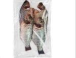 Globe Telapia Fish Processed 1kg Price in Bangladesh | গ্লোব তেলাপিয়া মাছ প্রসেসড দাম