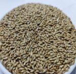 Canary Seeds – 1kg | বার্ড ফিড ও মানবভোজ্য সুপারগ্রেইন – হাই প্রোটিন, গ্লুটেন-ফ্রি ও অ্যান্টিঅক্সিডেন্ট সমৃদ্ধ