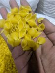 Conchiglie (Shell) Pasta – 500gm | শেল আকৃতির ইতালিয়ান পাস্তা – বাচ্চাদের প্রিয় ও দ্রুত রান্নাযোগ্য