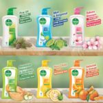 Dettol Skincare Bodywash 250ml – ফ্রি লুফা সহ ডেটল বডিওয়াশ বাংলাদেশে