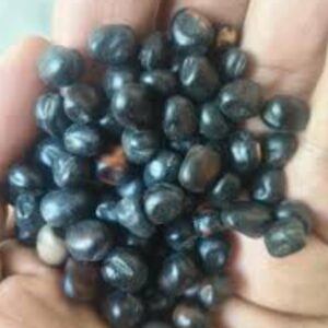Organic Black Bean – 1kg | হাই প্রোটিন, হাই ফাইবার ও অ্যান্টিঅক্সিডেন্ট সমৃদ্ধ লিগিউম