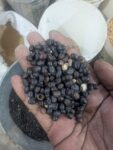 Organic Black Bean – 1kg | হাই প্রোটিন, হাই ফাইবার ও অ্যান্টিঅক্সিডেন্ট সমৃদ্ধ লিগিউম