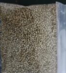 🌾 Sorghum (Sorghum bicolor) – 1kg | গ্লুটেন-ফ্রি প্রাকৃতিক দানাশস্য – ফাইবার রিচ, ডায়াবেটিক ফ্রেন্ডলি ও হার্ট হেলদি