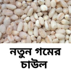 Wheat Rice 1kg Price in Bangladesh | গম চাল ১ কেজি দাম