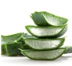Aloe Vera Leaf | ঘৃতকুমারী পাতার দাম ও উপকারিতা বাংলাদেশে
