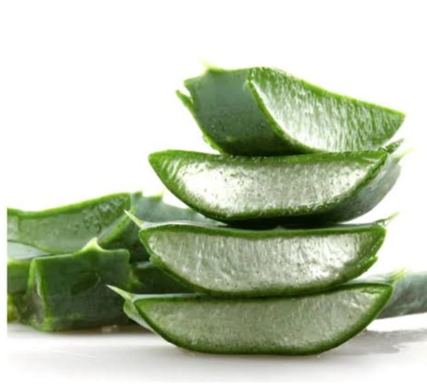 Aloe Vera Leaf | ঘৃতকুমারী পাতার দাম ও উপকারিতা বাংলাদেশে