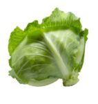 Badhakopi (Cabbage) 1 Piece | বাঁধাকপি দাম ও পুষ্টিগুণ বাংলাদেশে