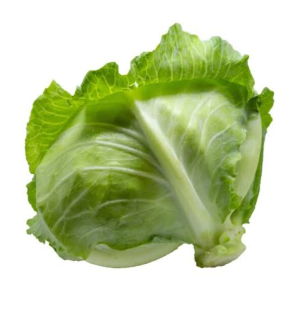 Badhakopi (Cabbage) 1 Piece | বাঁধাকপি দাম ও পুষ্টিগুণ বাংলাদেশে