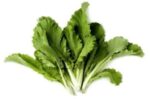 Badhakopi Pata (Chinese Cabbage Leaves) 150 gm+ | বাঁধাকপি পাতা দাম ও উপকারিতা বাংলাদেশে