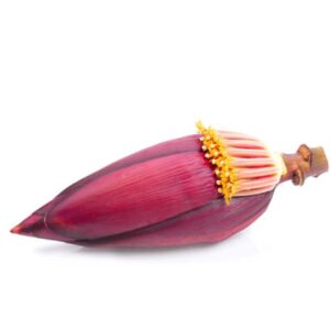 Banana Flower (Kolar Mocha) 1 pc | কলার মোচা দাম ও উপকারিতা বাংলাদেশে