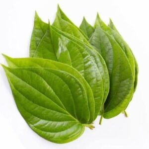Betel Leaf Pan 1 Bora 20 Pata | পান পাতা দাম ও উপকারিতা বাংলাদেশে