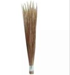 Big Broom 31 inch Shola | শোলা ঝাড়ু দাম বাংলাদেশে