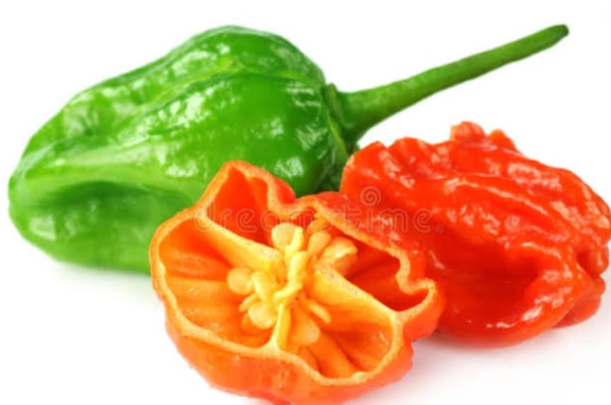 Bombay Chilli 5 pcs | āĻŦā§āĻŽā§āĻŦā§ āĻŽāϰāĻŋāĻ āĻĻāĻžāĻŽ āĻŦāĻžāĻāϞāĻžāĻĻā§āĻļā§