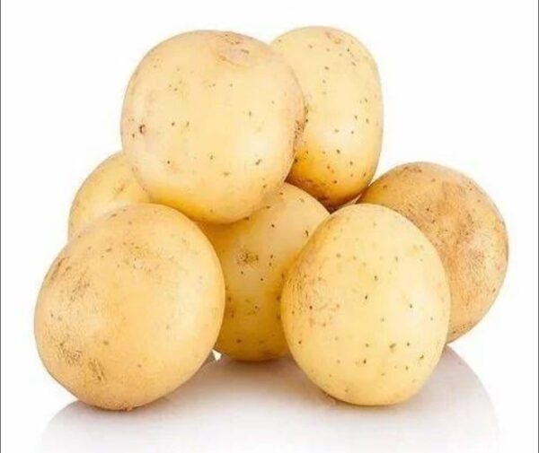 Boro Alu Big Diamond Potato 1kg | বড় আলুর দাম ও উপকারিতা বাংলাদেশে