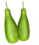 Bottle Gourd (Lau) Long – 1 Piece | লাউ এর দাম ও উপকারিতা বাংলাদেশে