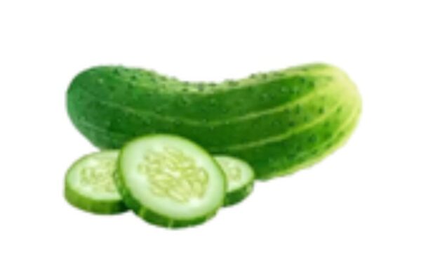 BrightFarms Local Cucumber Shosha 1kg | ব্রাইটফার্মস শসার দাম বাংলাদেশে