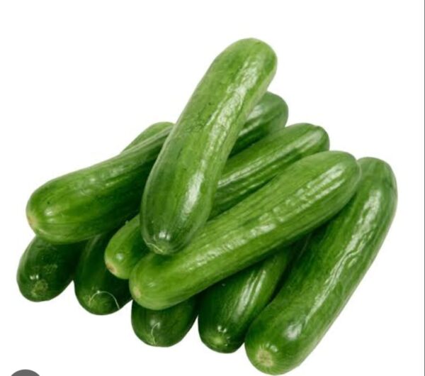 BrightFarms Local Cucumber Shosha 1kg | ব্রাইটফার্মস শসার দাম বাংলাদেশে