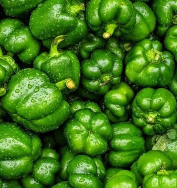 brightfarms Green Capsicum 300g | সবুজ বেল পেপার দাম বাংলাদেশে