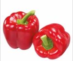 brightfarms Red Capsicum 300g | লাল বেল পেপার দাম বাংলাদেশে