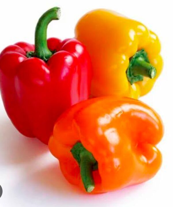 brightfarms Red Capsicum 300g | লাল বেল পেপার দাম বাংলাদেশে