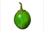 BrightFarms White Brinjal Eggplant 1kg | ব্রাইটফার্মস সাদা বেগুন দাম বাংলাদেশে